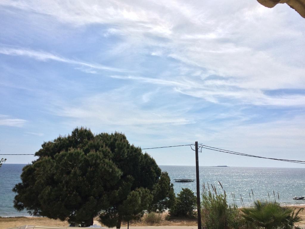 Seaview Lägenhet Agios Georgios  Exteriör bild